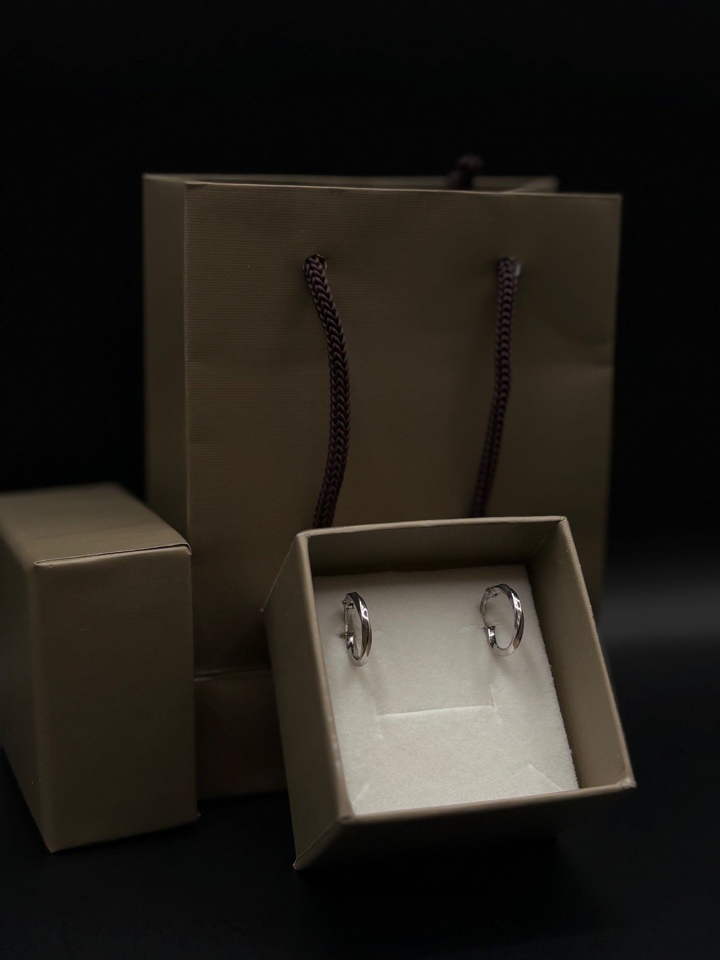 Orecchini a cerchio in argento sterling 925