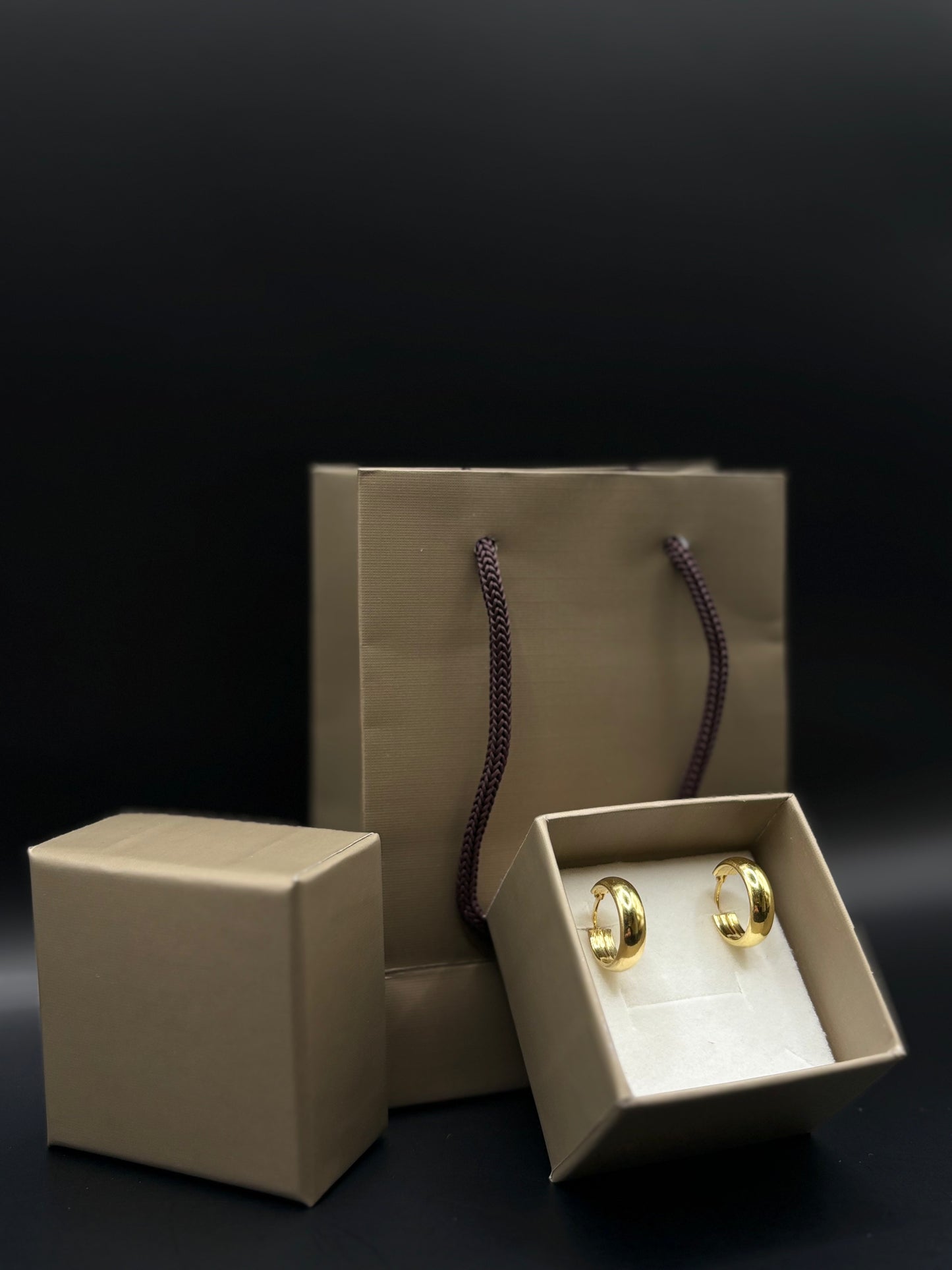 Hoop earrings made of 925 sterling silver, gold plated