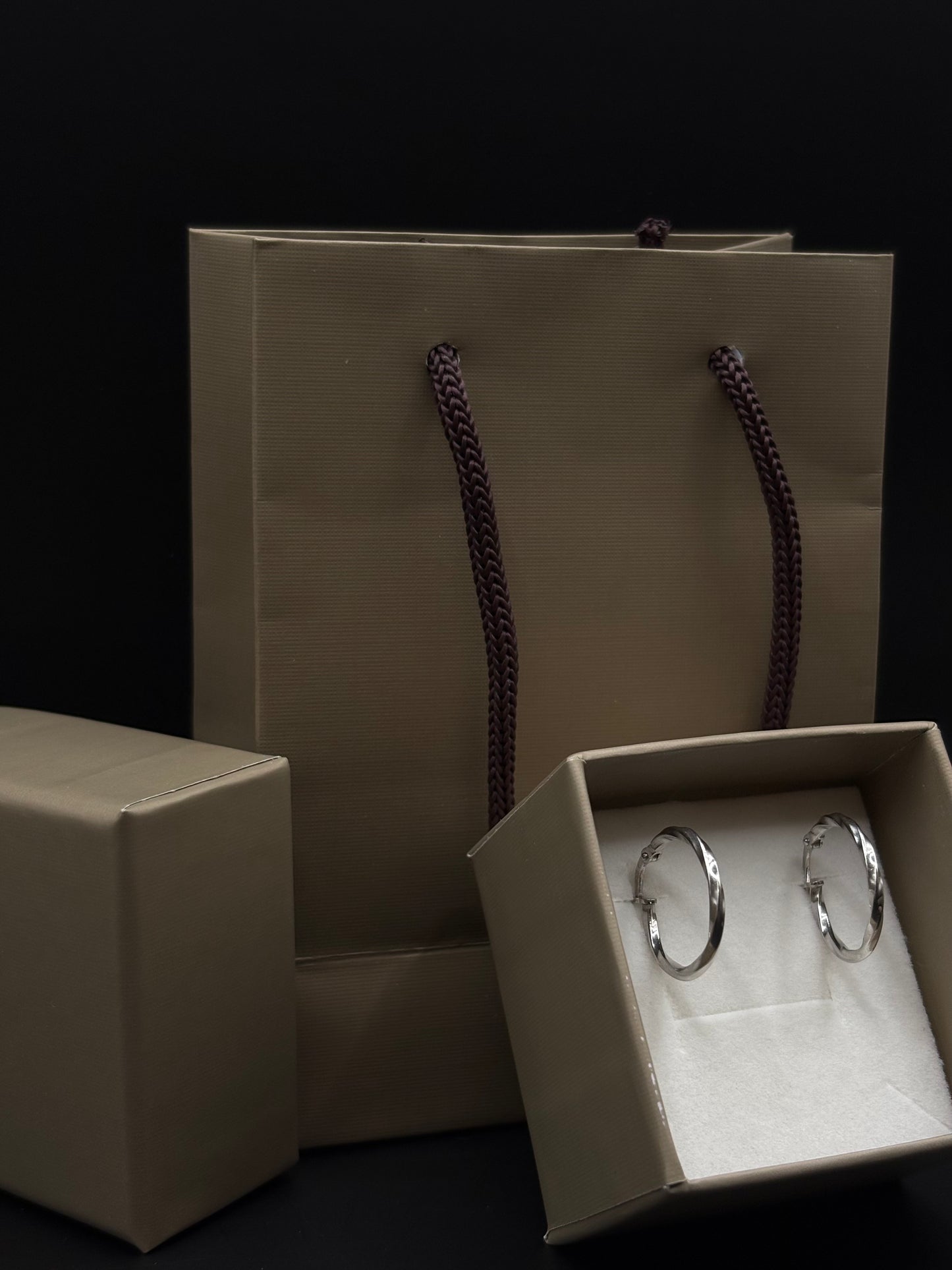 Orecchini a cerchio in argento sterling 925