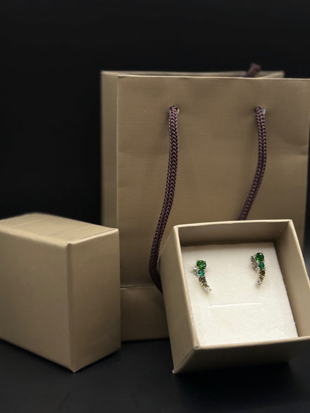 Boucles d'oreilles puces en zircon multicolore