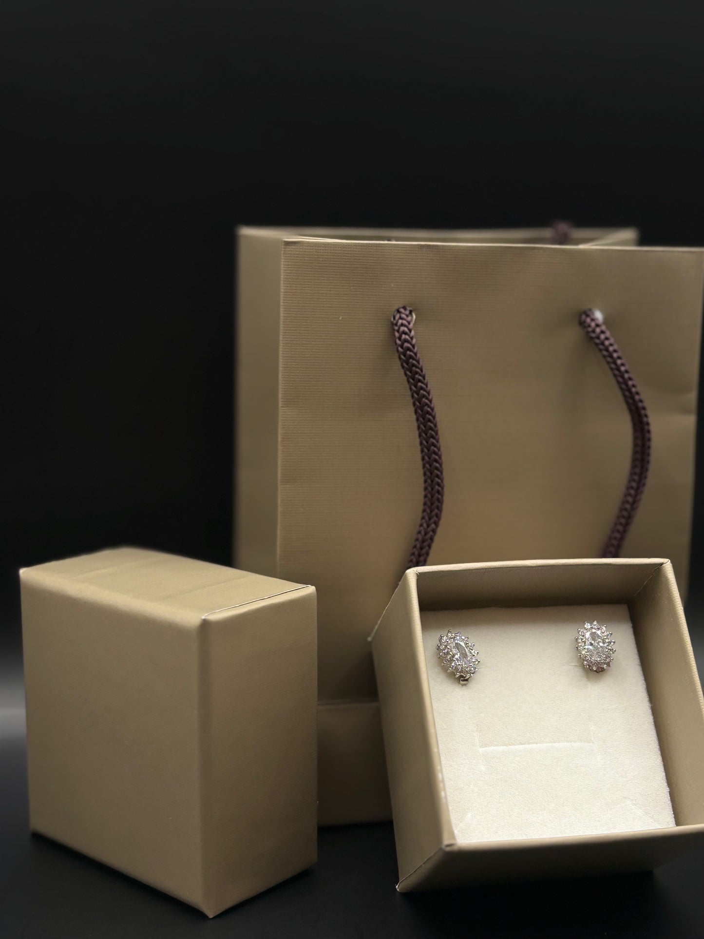 Eleganti orecchini a bottone con zirconi cubici