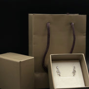 Boucles d'oreilles serpent à tige