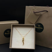 Catena in argento con pendente in argento sterling 925 